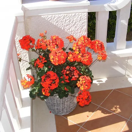 Apartamento Ana *